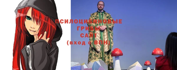 мдпв Лихославль