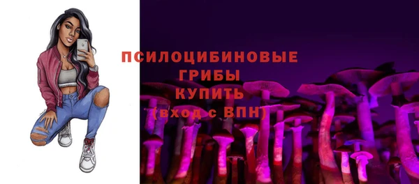 мдпв Лихославль