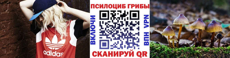 Псилоцибиновые грибы Psilocybine cubensis Купить закладки Зеленогорск