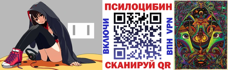 Псилоцибиновые грибы прущие грибы Зеленогорск